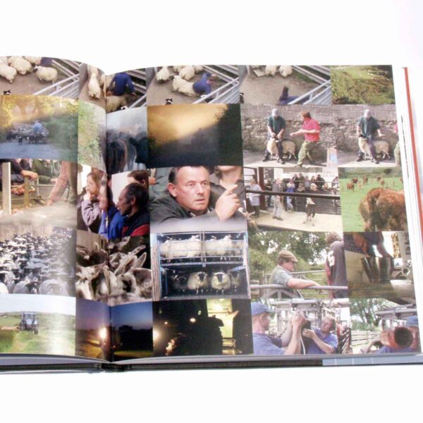 Focus on Farmers - Image 3